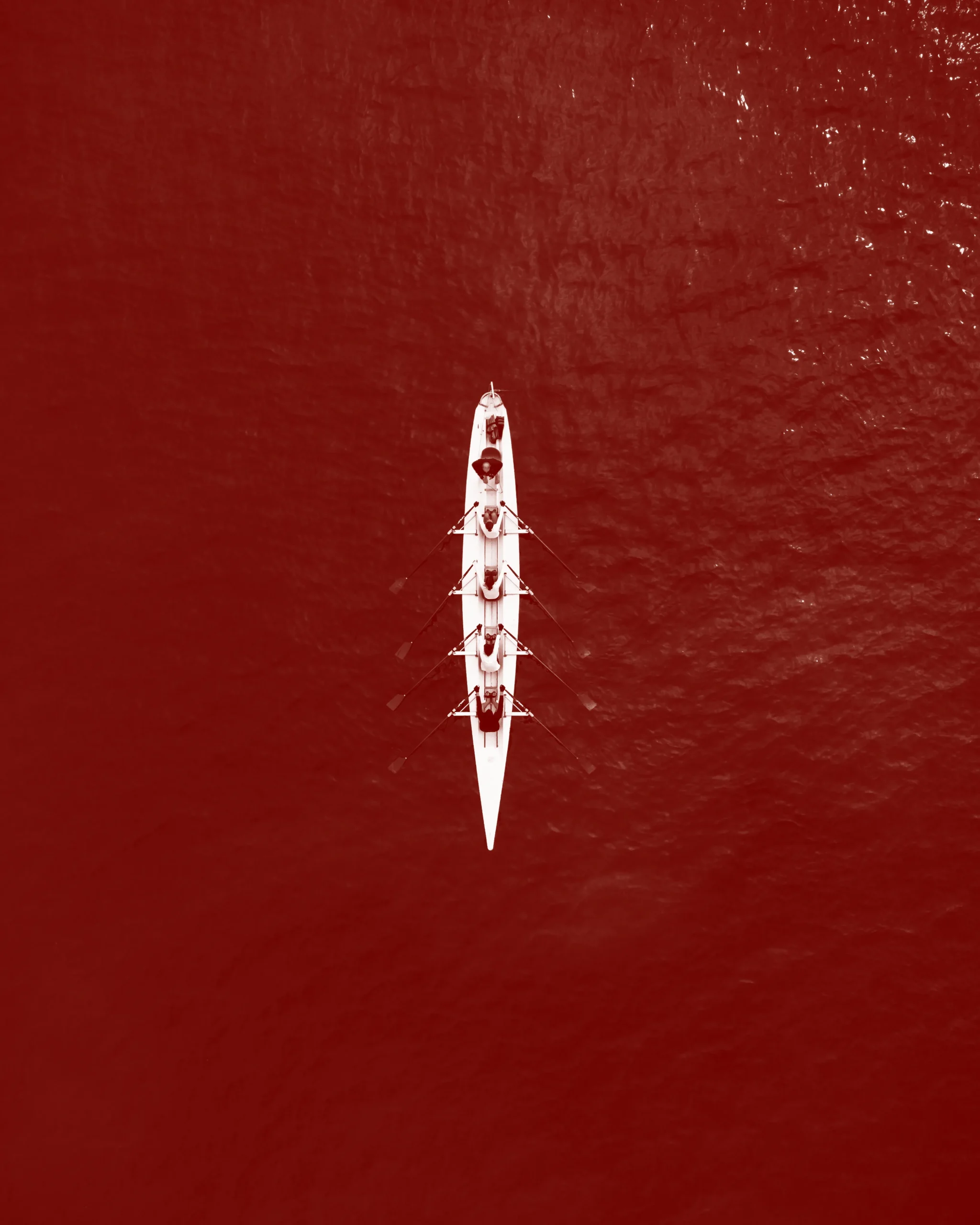 Rowing team overhead view
